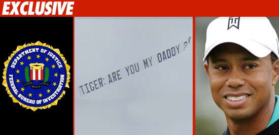 0622_fbi_tiger_banner_EX_getty