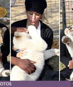 Shakira Goes Wild in South Africa