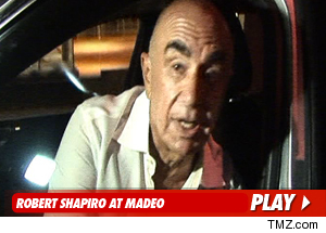 0717_robert_shapiro_video