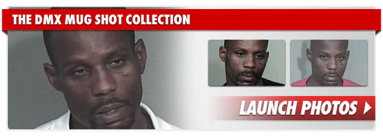 DMX Mugshot 0726_DMX_footer