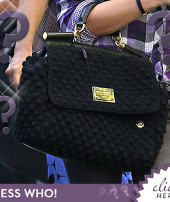 Whose Hot D&G Handbag?