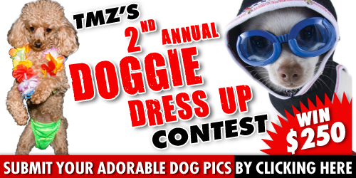 0804_tmz_dog_dressup_2