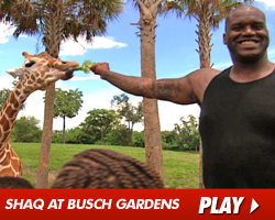 0809_shaq_busch_gardens_vid