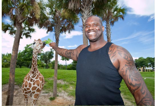 0809_Shaq_giraffe