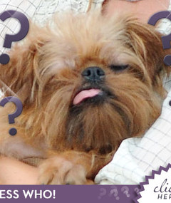 Who's Holding This Adorable Doggie?