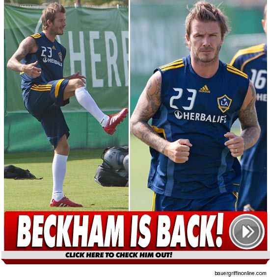 David Beckham Tendon Injury