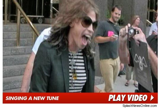 Steven Tyler - American Idol