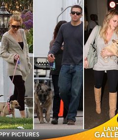 Stars and Their Adopted Animals!