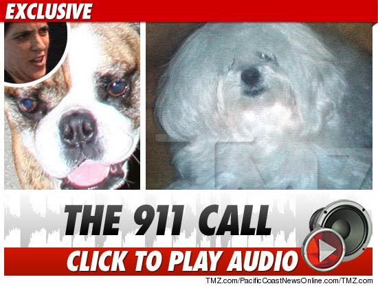 Sam Ronson 911 Call