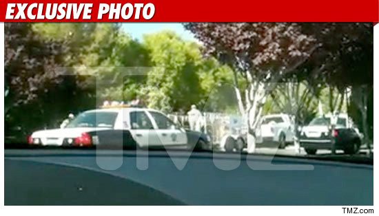 Floyd Mayweather Domestic Violence Suspect