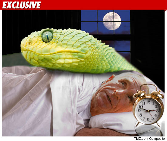 0915_prince_von_snake_bed_TMZ_getty