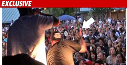 Paul Wall -- Sorry For Laying Down that Beat