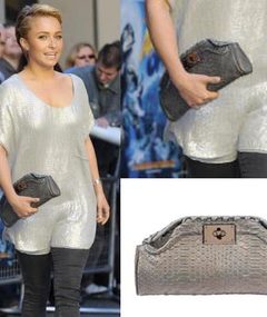 Celeb Pricetag: Hayden's Cute Clutch