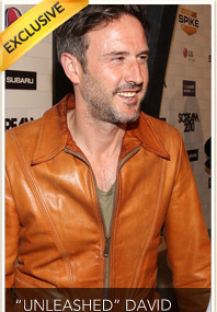 Arquette ‘Throwing Himself’ Into Work