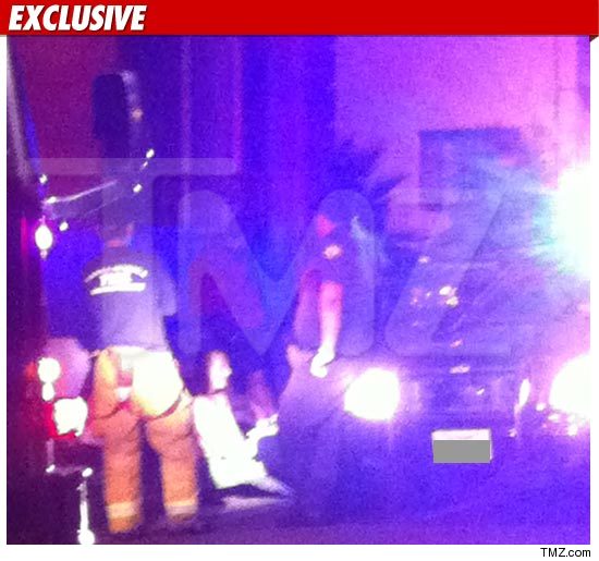 1022_michael_lohan_cops_tmz_ex