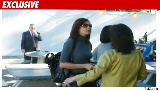 Teri Hatcher Divorce: