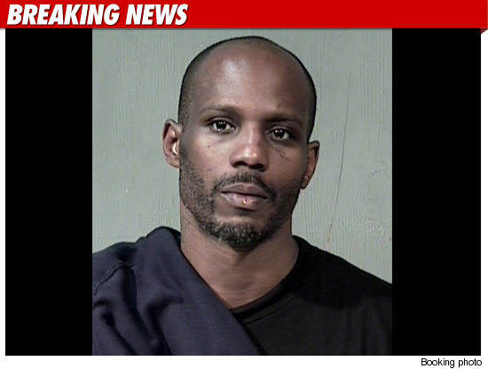 DMX Arrested