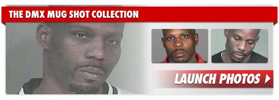 1119_dmx_mug_shot_footer