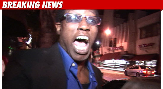 Wesley Snipes Jail
