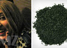 Miley's Herb Salvia -- Classified As 'Drug of Concern'