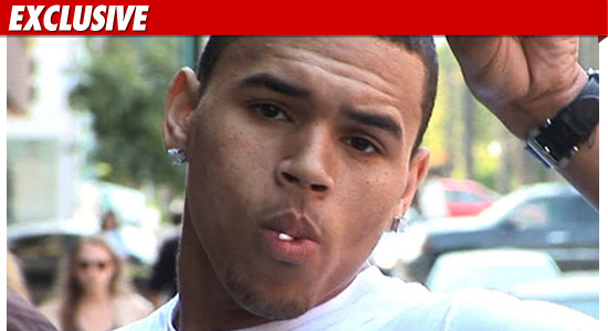 Chris Brown Homophobic