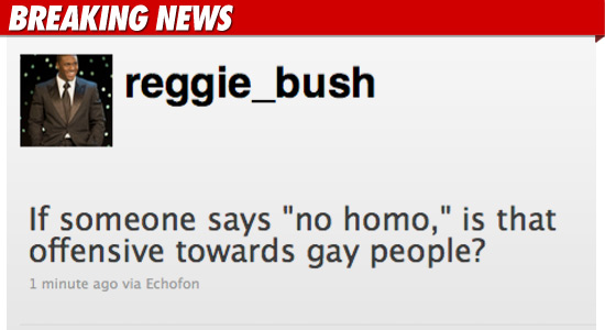 1230_reggie_bush_BN