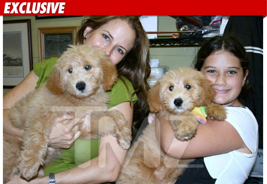Travolta Dogs