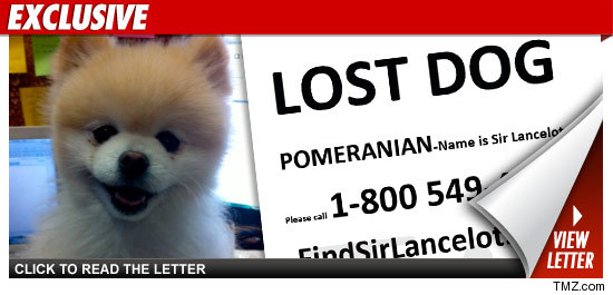 Lost Dog Rewards