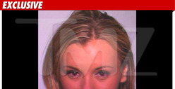 Charlie Sheen's Porn Pal Bree Olson Arrested for DUI