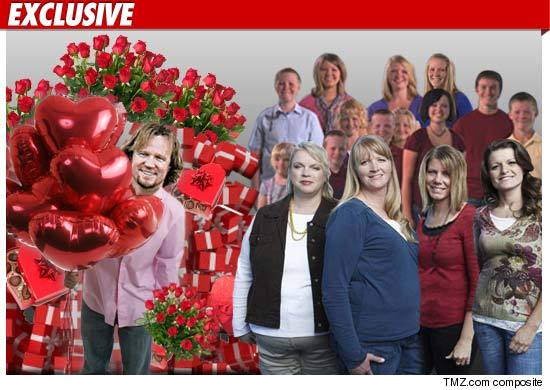0213_sister_wives_tmz_composite_ex