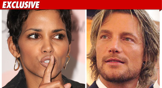 Halle Berry Custody Battle