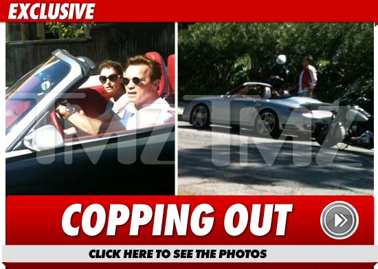 Schwarzenegger Traffic Cop