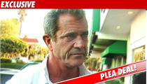 Mel Gibson Strikes Plea Deal -- NO JAIL TIME