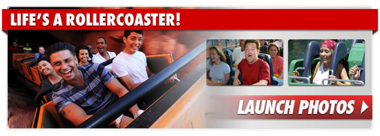0314_rollercoaster_footer