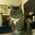 Commenter's Avatar