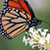 Commenter's Avatar