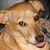 Commenter's Avatar