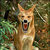 Commenter's Avatar