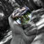 Commenter's Avatar