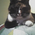 Commenter's Avatar