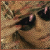 Commenter's Avatar