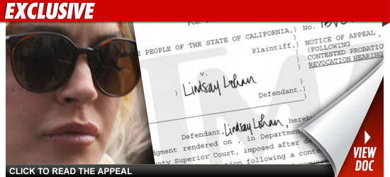 0425_lindsay_doc_ex