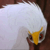 Commenter's Avatar
