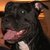 Commenter's Avatar