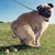 Commenter's Avatar