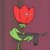 Commenter's Avatar