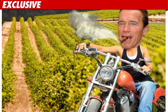 0510_arnold-_vineyard_tmz_composite_ex_2
