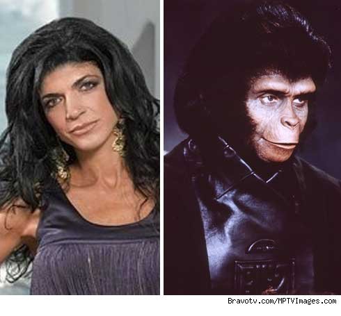 Teresa Giudice and Zira
