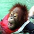 Commenter's Avatar