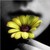 Commenter's Avatar